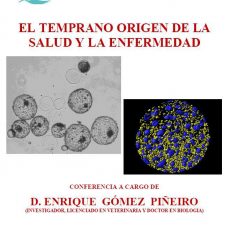 El temprano origen de la salud y la enfermedad