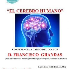 El cerebro humano