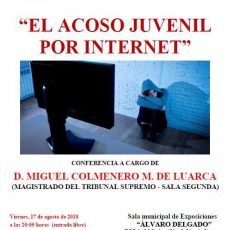 El acoso juvenil por Internet